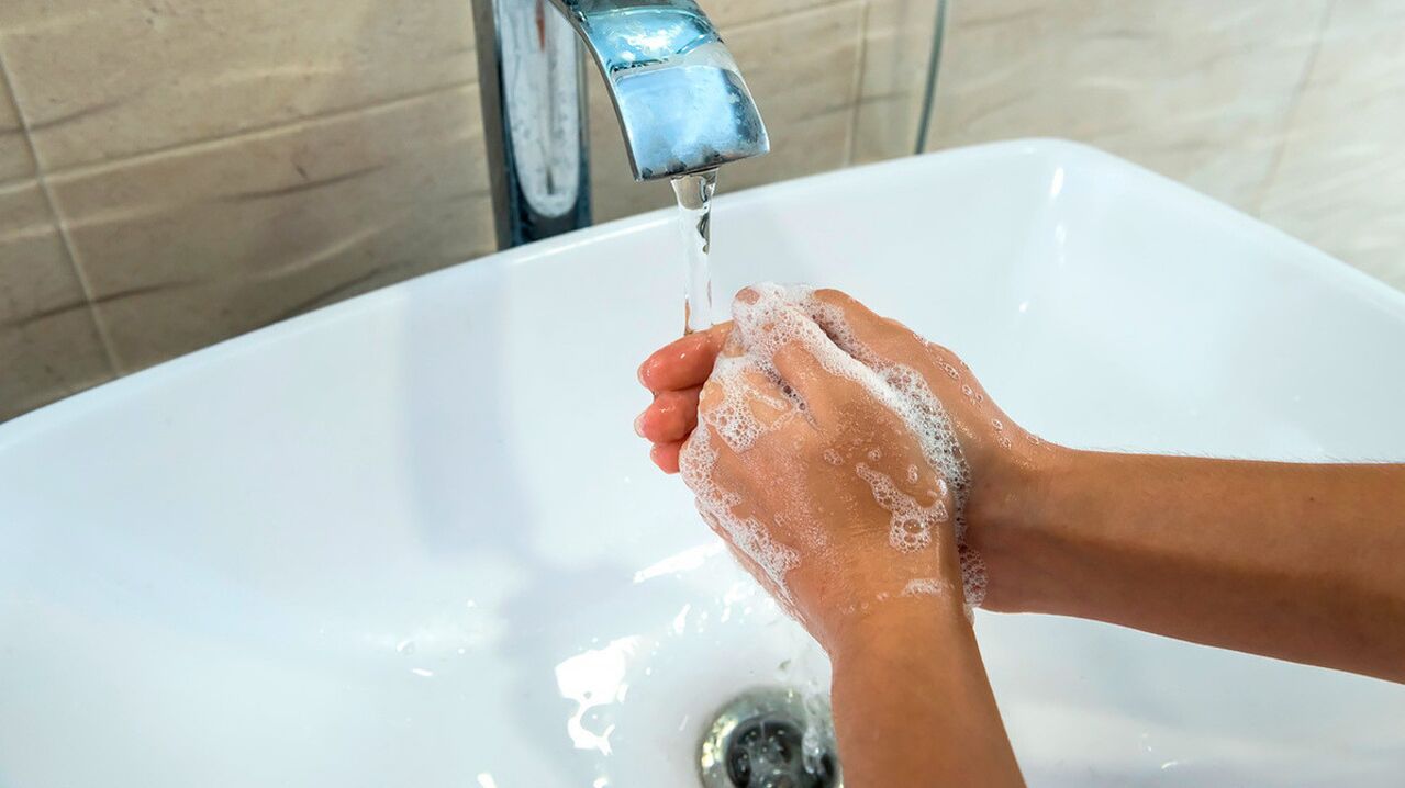 预防蠕虫病的最简单规则是始终用肥皂和水洗手。